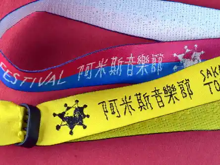 Security closure Wristbands